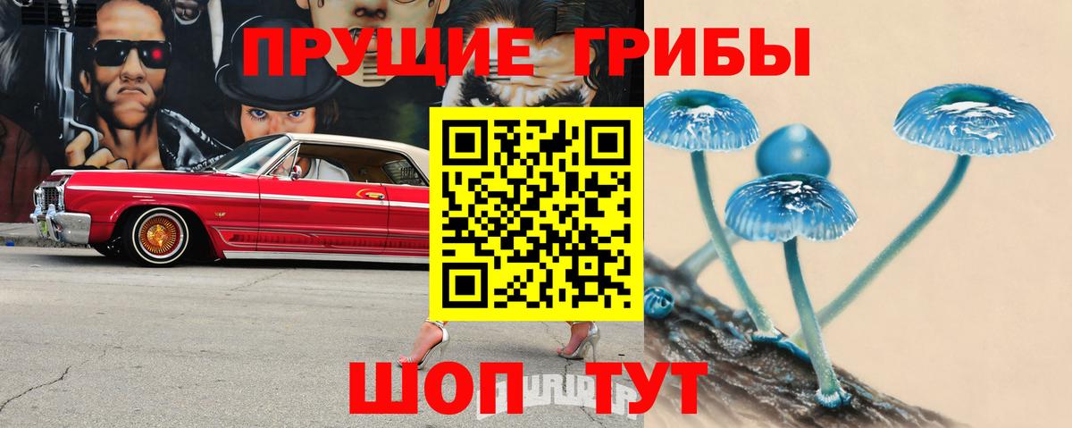 закладки  Вход с VPN  Ступино  Галлюциногенные грибы Cubensis 